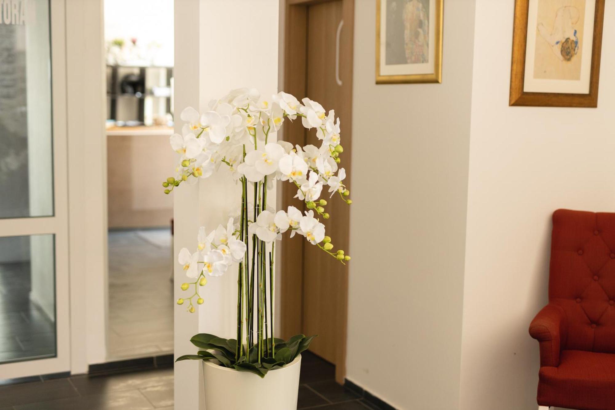 D8 B&B Zadar Extérieur photo